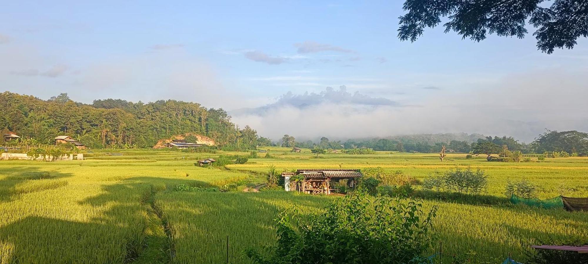 Campingplatz Kaewma Khuang Kom